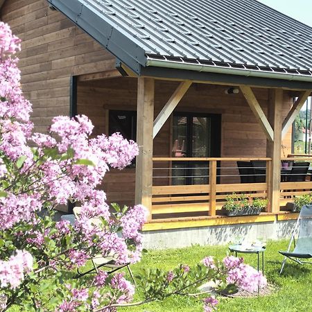 Villa L étincelle du Manon Lajoux Exterior foto